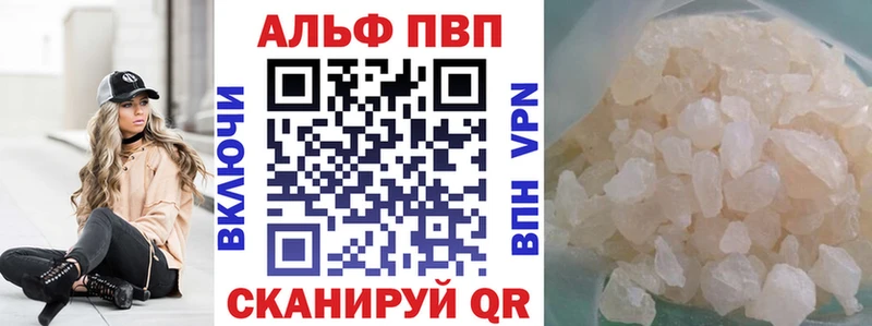 APVP СК  Плёс 