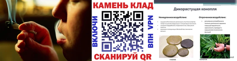 ГАШ Изолятор  Плёс 