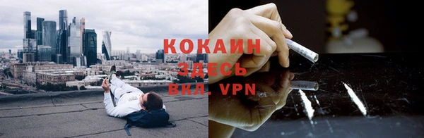 тгк Горняк