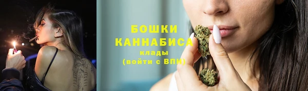 тгк Горняк